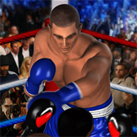 Ultimate Boxing Play