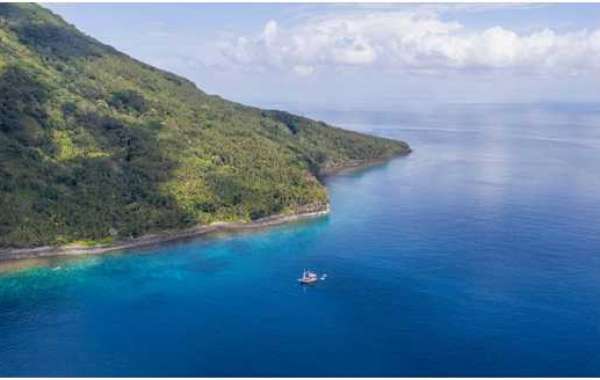 The Unique style of diving in Raja Ampat