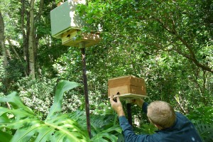 Five Positive Practices of Permaculture