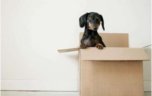 How to Find the Right Removalists for Interstate Moving