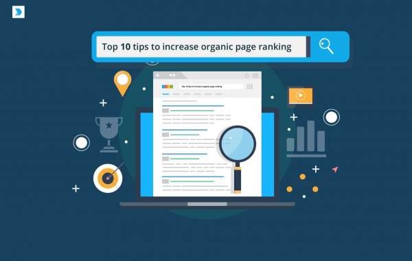 Four Useful SEO Tips You Can Consider to Improve Your Ranking