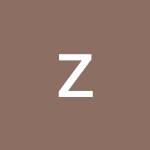 zippi zap profile picture