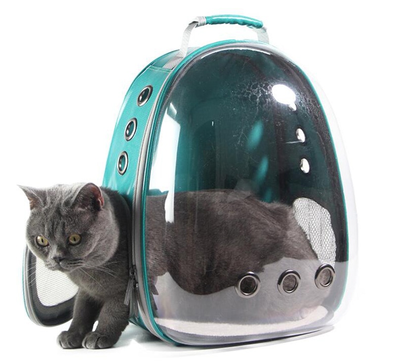 How the selection of bed for pet is a difficult task?