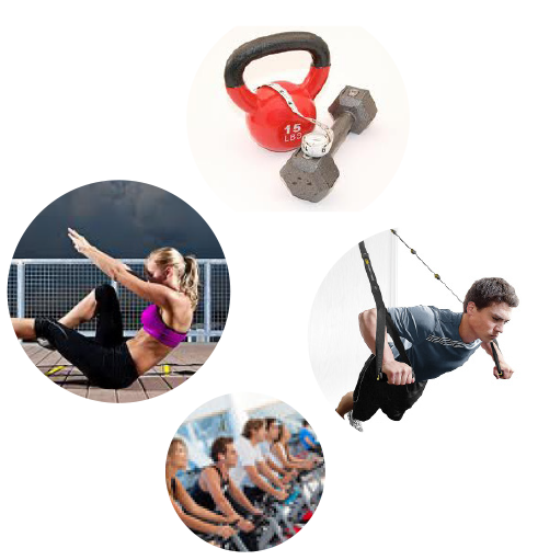 Tips to find right trainer