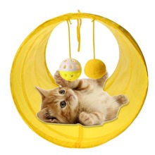 Prepare yourself to welcome a cat