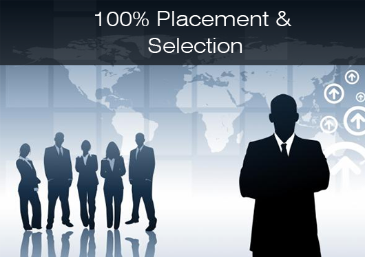 A Shining Career Opportunity - Merchant Navy