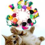 How buying pet food online is far more economical?