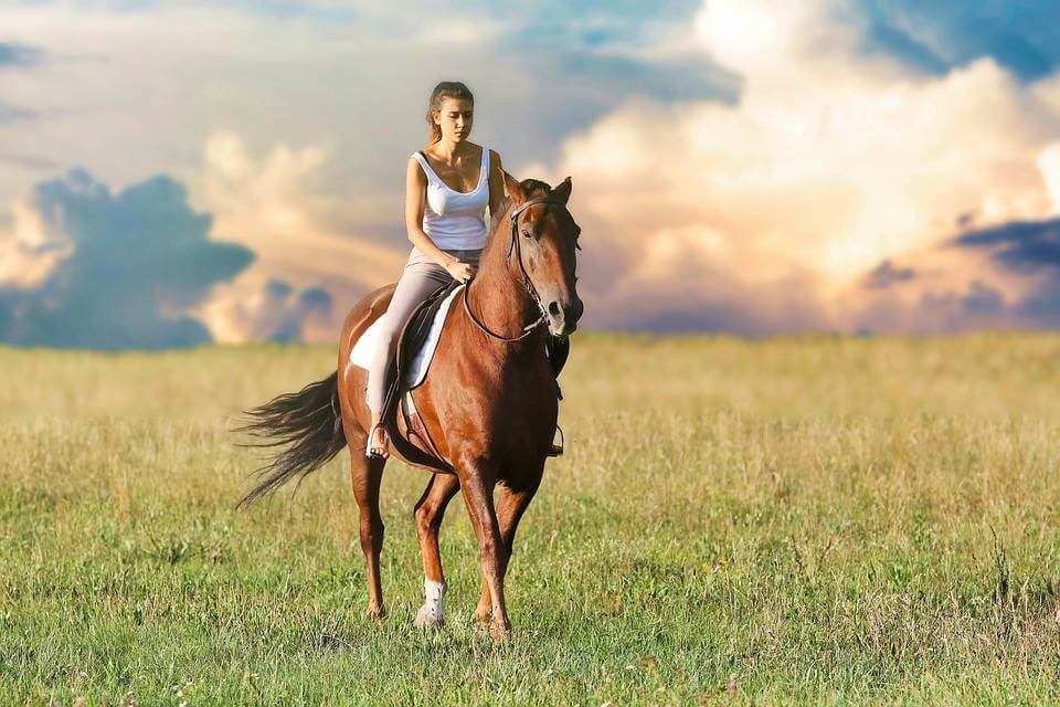 فوائد ركوب الخيل الجسدية والعقلية والعاطفية | مجلة أصحابي