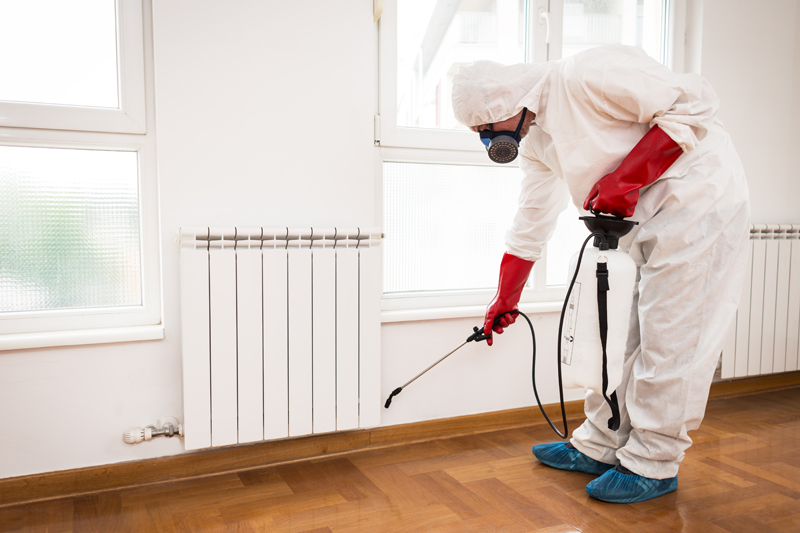 WHY SHOULD YOU HIRE PEST EXTERMINATOR SCARBOROUGH SERVICE PROVIDERS?