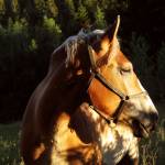 Maureen Ruecker Profile Picture