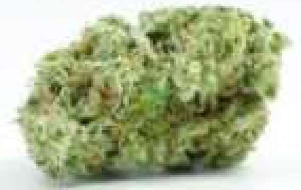 Buy Hybrid Strains Online UK