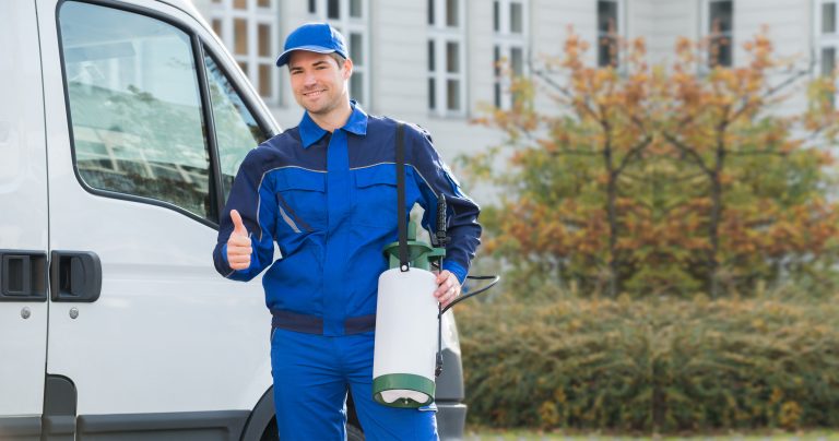 PEST EXTERMINATOR MILTON – HOW TO MAKE A WISE CHOICE?