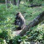 Retta Skiles Profile Picture