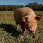 Hoyt Marquardt Profile Picture