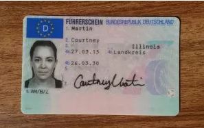 Kaufraten eines Führerscheins