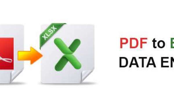 PDF to Excel Data Entry