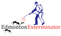 Get Pest Control Company In Edmonton