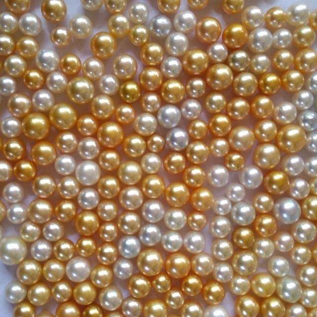 South Sea Pearls in Jakarta