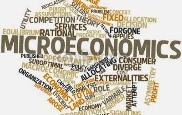 Where can students get Microeconomics Assignment Help in Australia?