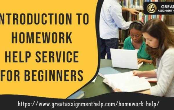 Introduction to Homework Help Service for Beginners