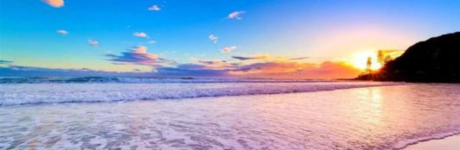 freeblogger Cover Image
