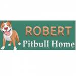 robert pitbull Profile Picture