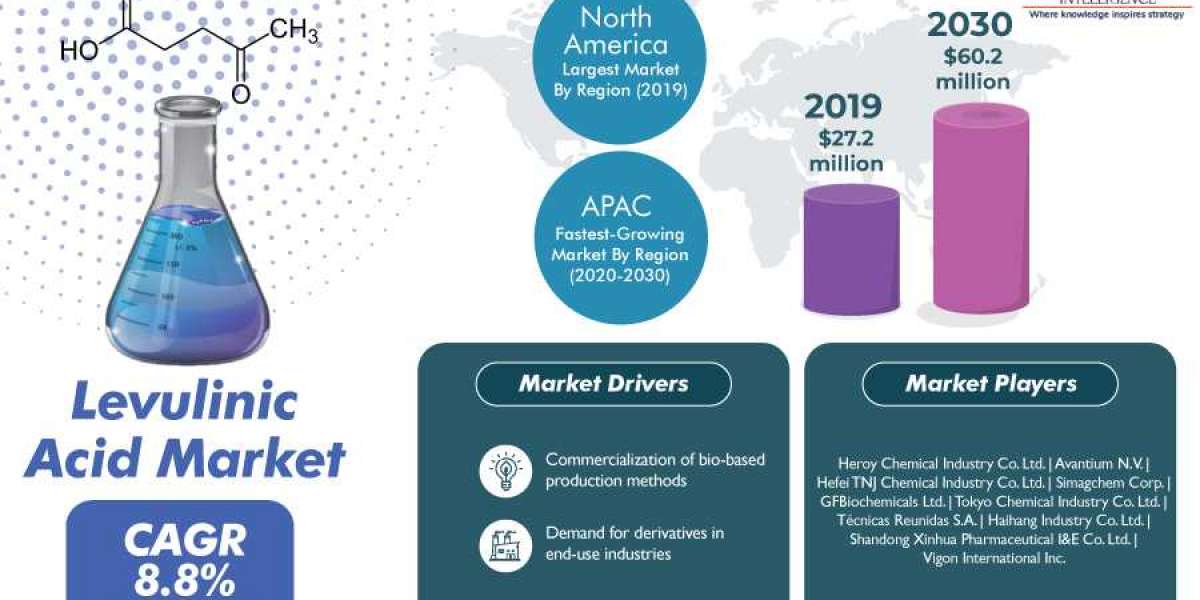 What are Key Factors Causing Surge of Levulinic Acid Market in Asia-Pacific (APAC)?