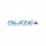 Palatine Technology Group Profile Picture