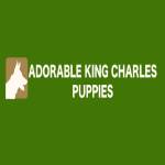 King Charles Profile Picture