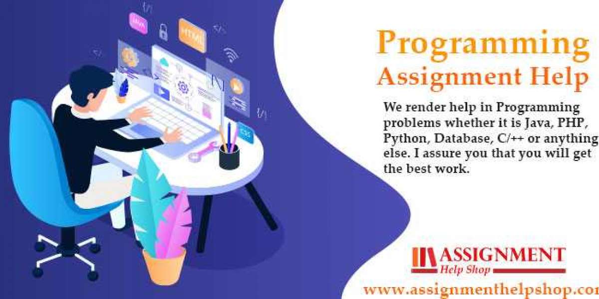 Experts working on Programming Assignments