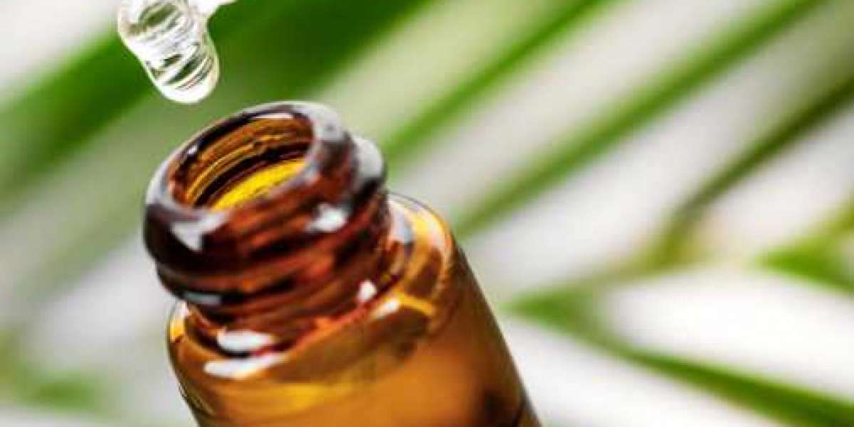 10 Tea Tree Oil Uses and Benefits