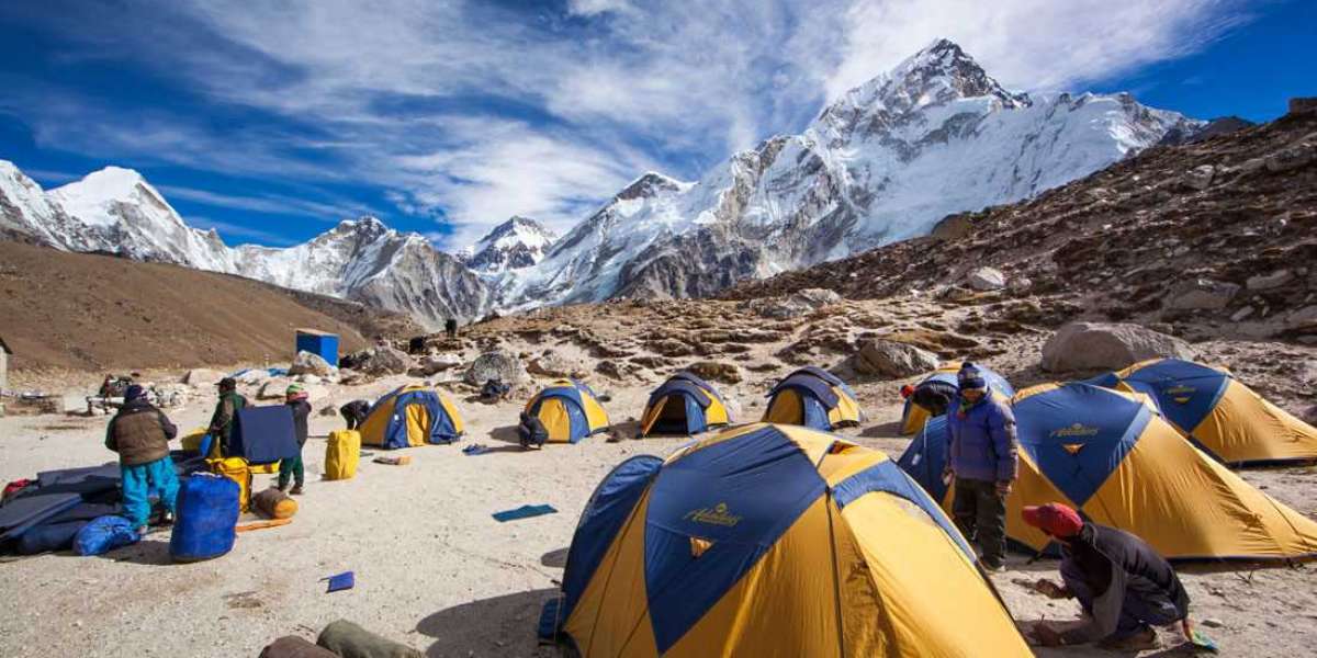 Best tours and travel services for Nepal tour