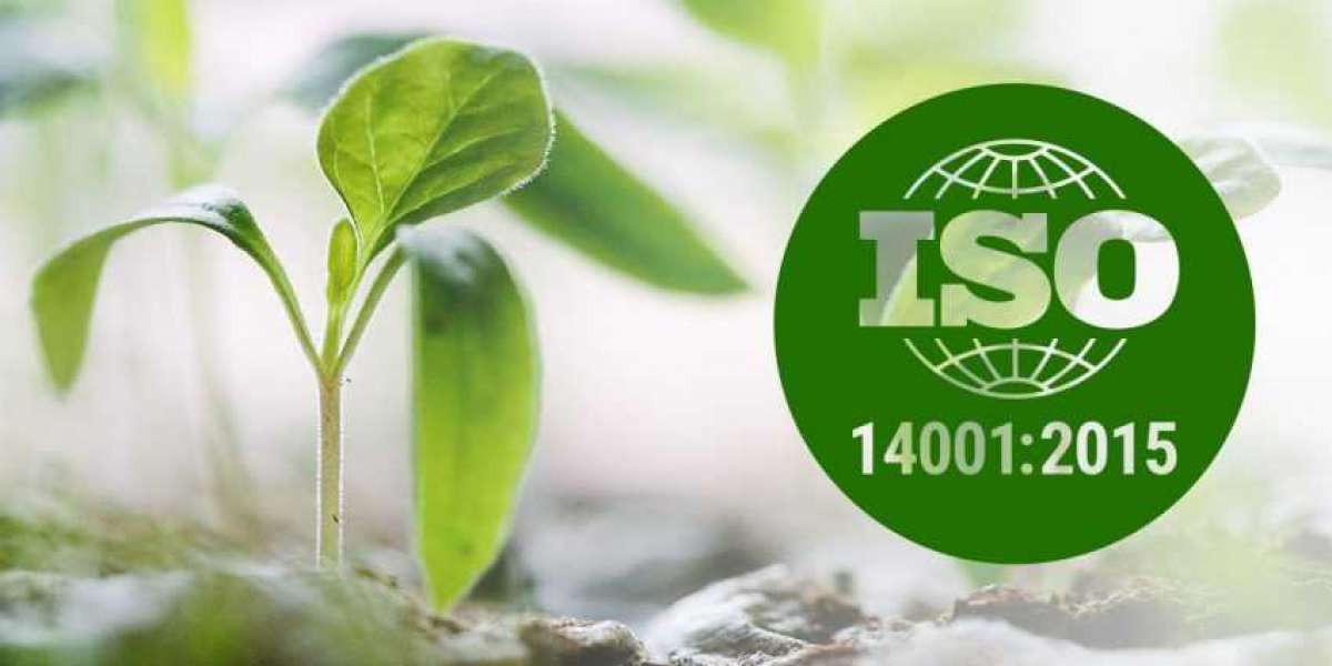 Instructions to Allocate Roles and Responsibilities According to ISO 14001