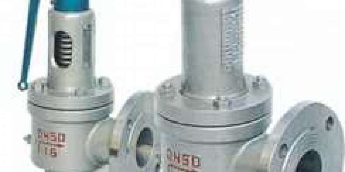 Steam Safety Valve Manufacturer in Italy