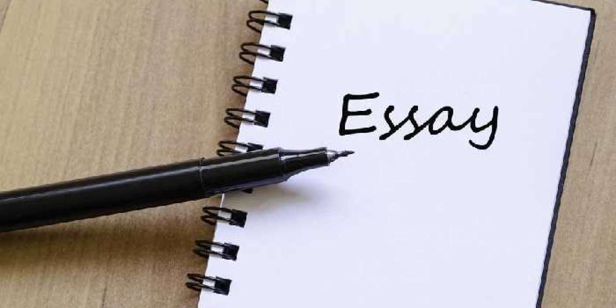 How To Succeed at Essay Writing