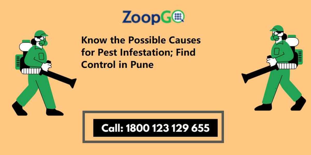 Know the Possible Causes for Pest Infestation; Find Control in Pune