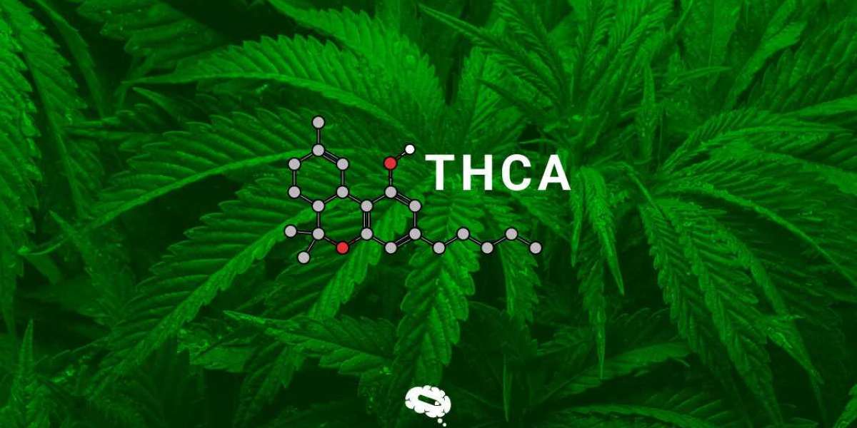 Navigating the Benefits of THCA for a Healthier Life
