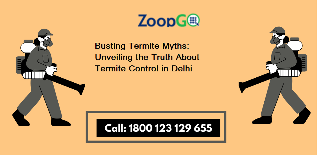 Busting Termite Myths: Unveiling the Truth About Termite Control in Delhi | by Movemycarpr | Nov, 2023 | Medium