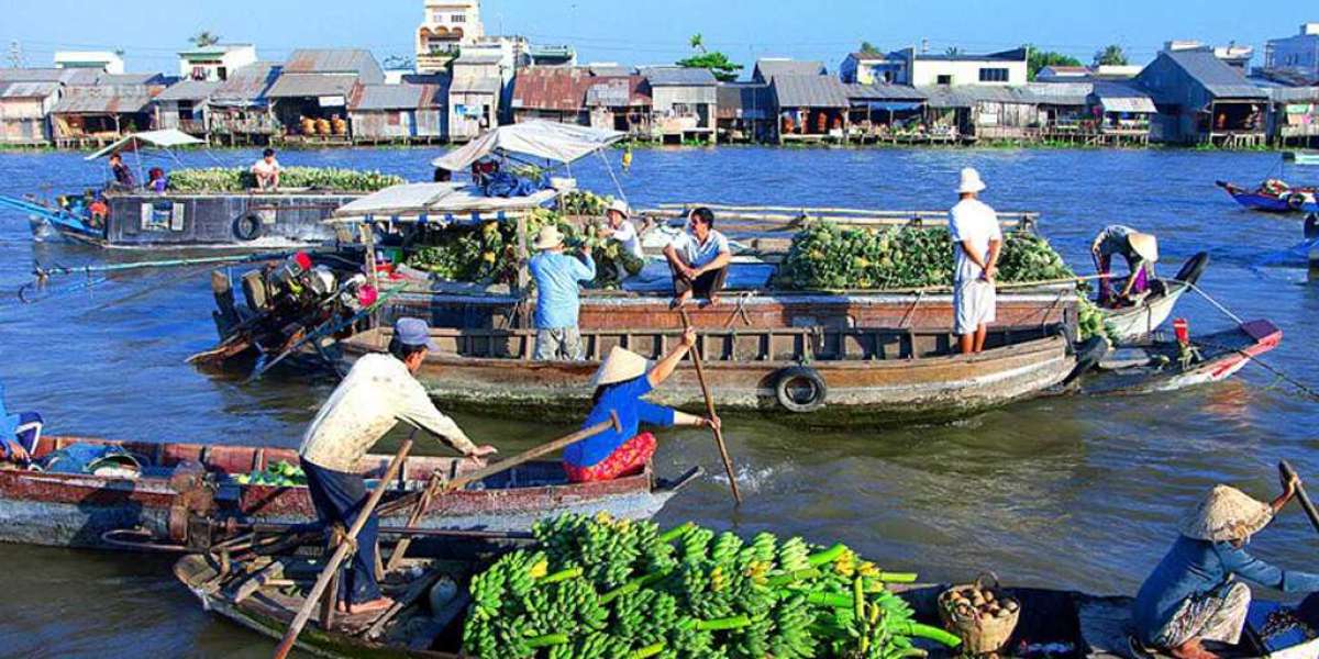 Vietnam Best Places to Visit | Vietnam Itinerary 2 Weeks | Bonzer Tour