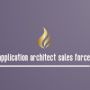 application architect sales force